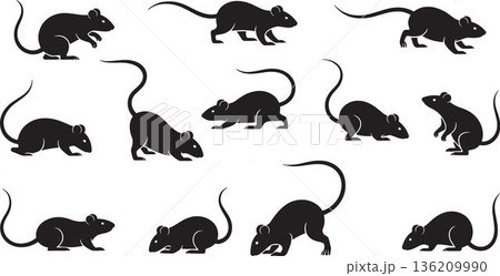Black Mouse Silhouette Collection in Various Poses Featuring Small Rodent Shapes, Creative Animal Designs Isolated on Transparent Background for Graphic and Digital Projects 136209990