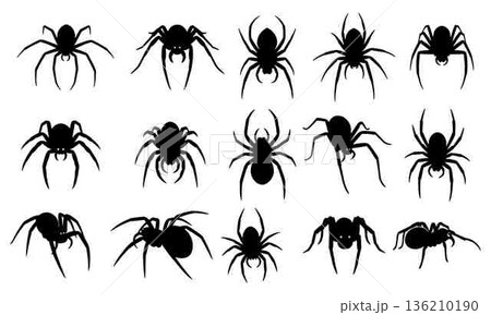 Collection of Spider Silhouettes for Halloween and Horror Themed Designs 136210190