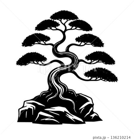 Elegant Bonsai Tree Silhouette on Rock Formation Isolated on White 136210214