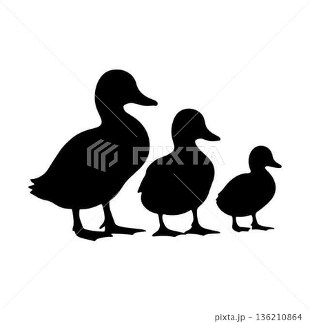 Silhouette of a duck family with mother child and baby ducks Silhouette of a duck family with mother child and baby ducks 136210864