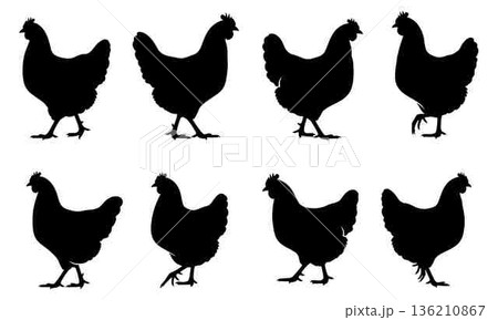 Silhouette of Chickens Walking Vector Illustration for Farm and Food 136210867