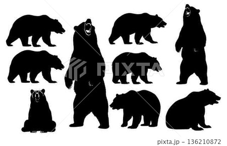 Silhouettes of Bears Standing Walking and Sitting on White Background 136210872