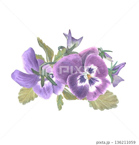 A floral arrangement of burgundy pansies with leaves and buds, hand-painted in watercolor on an isolated white background. Simple spring botanical illustration clip art for design A floral arrangement of burgundy pansies with leaves and buds, hand-painted in watercolor on an isolated white background. Simple spring botanical illustration clip art for design 136211059