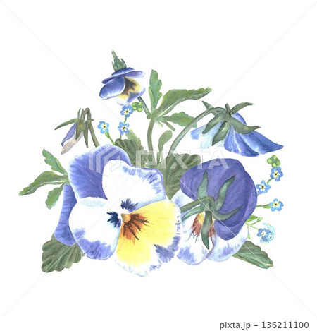 A floral arrangement of pansies and wild violets with leaves and buds, hand-painted in watercolor on an isolated white background. Simple botanical illustration clip art for store design, postcards 136211100
