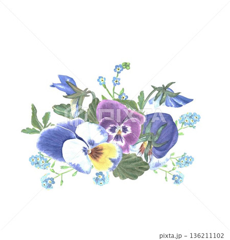 A floral arrangement of pansies and wild violets with leaves and buds, hand-painted in watercolor on an isolated white background. Simple botanical illustration clip art for store design, postcards. 136211102