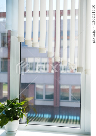 Living plants in bright sunlight by a window with vertical blinds, creating a serene atmosphere and ample copy space for design elements and text Living plants in bright sunlight by a window with vertical blinds, creating a serene atmosphere and ample copy space for design elements and text 136211510