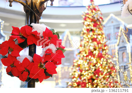 Vibrant red poinsettia wreath hangs elegantly in a festive shopping mall, adorned with twinkling lights and a beautifully decorated Christmas tree, creating a joyful holiday atmosphere Vibrant red poinsettia wreath hangs elegantly in a festive shopping mall, adorned with twinkling lights and a beautifully decorated Christmas tree, creating a joyful holiday atmosphere 136211791