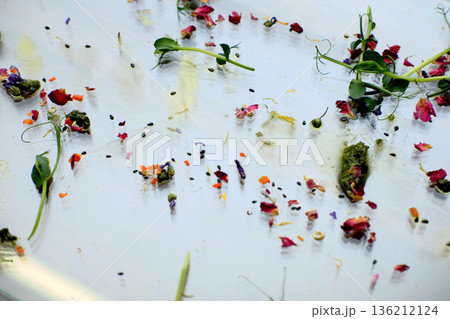 Leftover food scraps and dirty dishes scattered on a countertop, showcasing vibrant colors of wilted flowers and remnants, creating a messy yet artistic culinary scene Leftover food scraps and dirty dishes scattered on a countertop, showcasing vibrant colors of wilted flowers and remnants, creating a messy yet artistic culinary scene 136212124