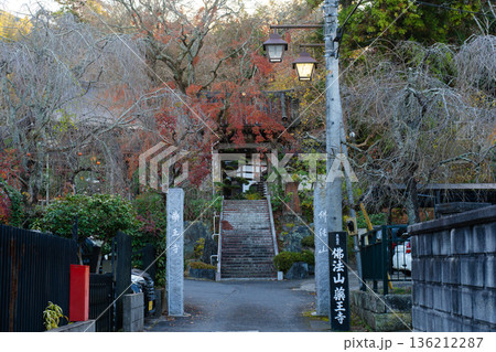 紅葉に包まれた薬王寺の石段 136212287