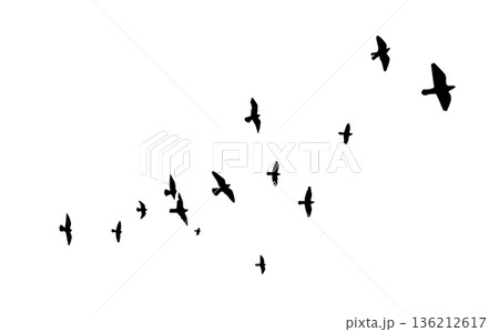 Flying birds silhouette flock. hand drawing. Not AI. Vector illustration Flying birds silhouette flock. hand drawing. Not AI. Vector illustration 136212617