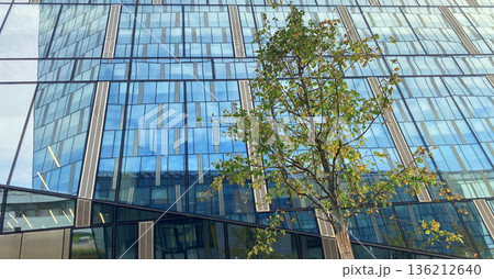 Office building. Glass skyscrapers in business center. Architecture, commercial real estate Office building. Glass skyscrapers in business center. Architecture, commercial real estate 136212640