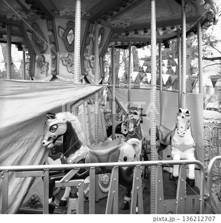 White ponies on an abandoned carousel White ponies on an abandoned carousel 136212707