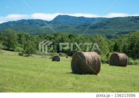 背景に黒松内岳バッカンロール 背景に黒松内岳バッカンロール 136213086
