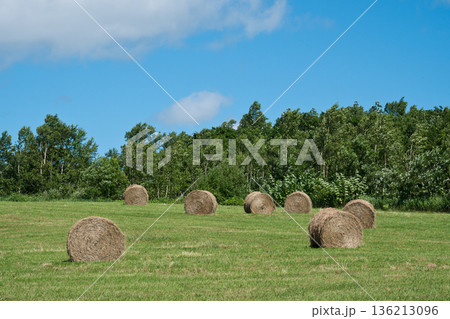 麦稈ロール,バッカンロール 麦稈ロール,バッカンロール 136213096