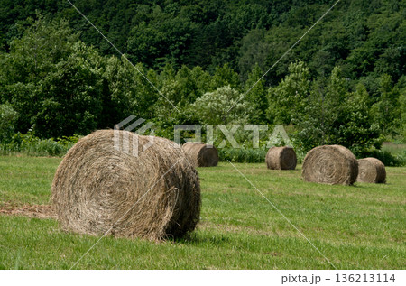 牧草ロールのある風景バッカンロール 136213114