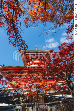 紅葉と青空に映える成田山新勝寺の平和大塔 136213401