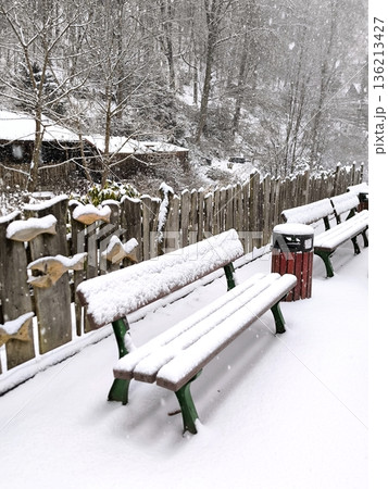 Wooden benches and a decorative fence under a thick layer of snow 136213427