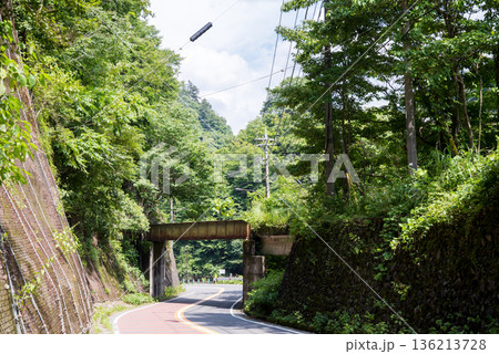 【小河内線】国道に架かる廃線跡の橋梁 136213728