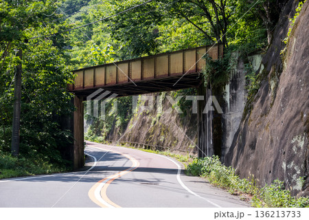 【小河内線】国道に架かる廃線跡の橋梁 136213733