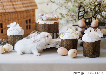 White bunny with Easter cakes and eggs on spring table with blossom branches, soft light 136214704