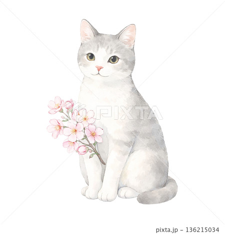 水彩風 白猫とピンクの花 かわいい猫 春の切り抜きイラスト素材 136215034
