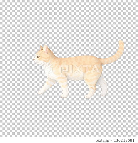 水彩風 歩く茶トラ猫 かわいい猫 シンプル 切り抜きイラスト素材 水彩風 歩く茶トラ猫 かわいい猫 シンプル 切り抜きイラスト素材 136215091