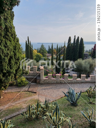 Garden Path with Cypress Trees and Shrubs 136215159