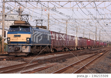 東海道貨物線を長大編成で走行するEF66-29号機牽引の貨物列車_2011/1/23 136215509