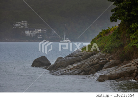 a palm tree by the pool in a luxury villa and the sea, it is raining heavily in the background,  136215554