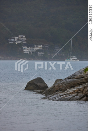 a palm tree by the pool in a luxury villa and the sea, it is raining heavily in the background,  136215556