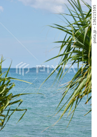 view through palm trees on a warship of the Thai Armed Forces stands in sea at sunny day 136215595