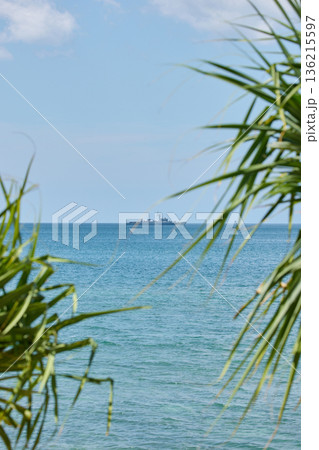 view through palm trees on a warship of the Thai Armed Forces stands in sea at sunny day view through palm trees on a warship of the Thai Armed Forces stands in sea at sunny day 136215597