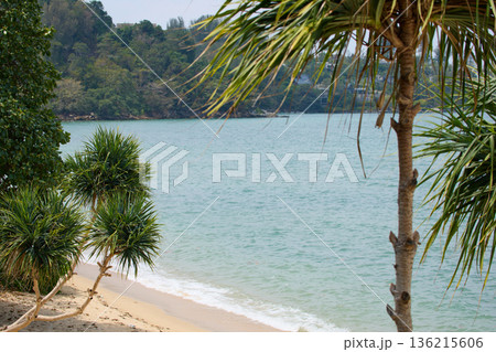 View from luxury villa at sunny day, sun loungers for sunbathing, umbrellas from the sun, pillows for swimming in the pool, palm tree on background 136215606