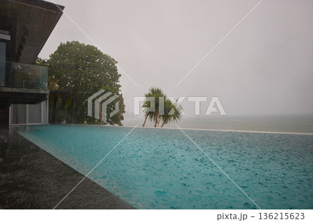 a palm tree by the pool in a luxury villa and the sea, it is raining heavily in the background, a palm tree by the pool in a luxury villa and the sea, it is raining heavily in the background, 136215623
