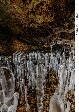 氷の彫刻が並ぶ百畳敷洞の神秘的な冬景色 136215883