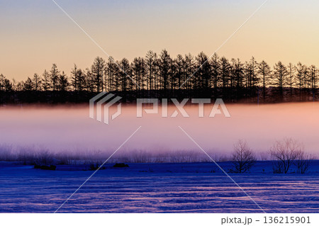 幻想的な朝霧に包まれた北海道・十勝の冬景色 幻想的な朝霧に包まれた北海道・十勝の冬景色 136215901