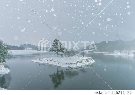 雪の浮島 136216179