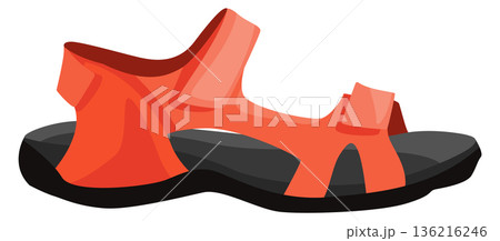 Summer trekking sandals. Outdoor footwear. Vacation travel 136216246