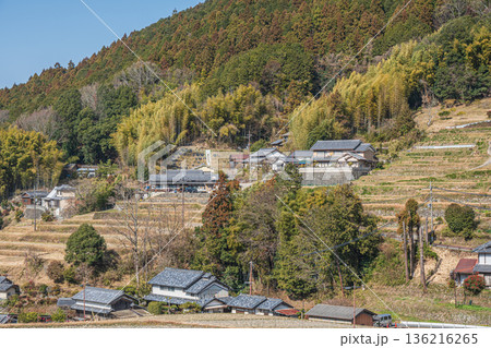 明日香村の冬の棚田風景 奈良県 明日香村の冬の棚田風景 奈良県 136216265