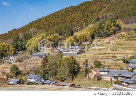 明日香村の冬の棚田風景 奈良県 明日香村の冬の棚田風景 奈良県 136216266