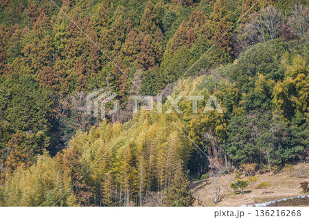 明日香村の里山風景 奈良県 明日香村の里山風景 奈良県 136216268