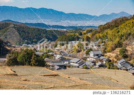 明日香村の冬の棚田風景　奈良県 136216271
