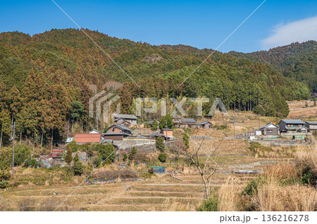 明日香村の冬の棚田風景　奈良県 136216278