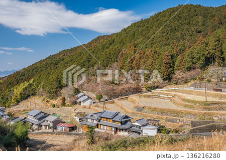 明日香村の冬の棚田風景　奈良県 136216280