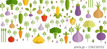 Vegetable pattern. Color fresh organic food ingredients 136216352