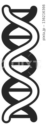 Dna black icon. Genetic spiral. Science symbol 136216366