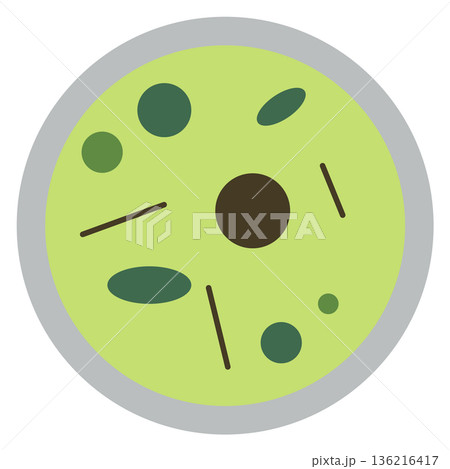 Microbiology cells in magnify glass. Biology cartoon icon Microbiology cells in magnify glass. Biology cartoon icon 136216417