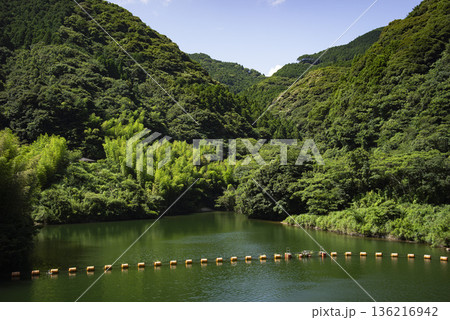 静岡県南伊豆町にある青野大師ダム 136216942
