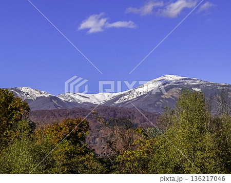 月山の初冠雪 山形県西川町 月山の初冠雪 山形県西川町 136217046