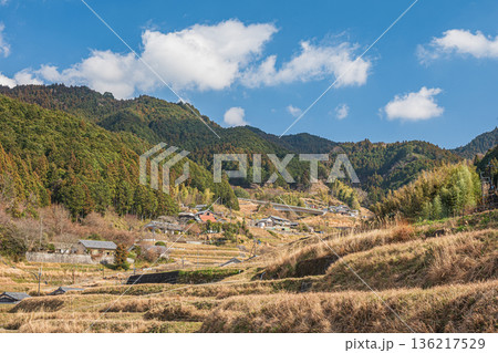 明日香村の冬の棚田風景 奈良県 明日香村の冬の棚田風景 奈良県 136217529